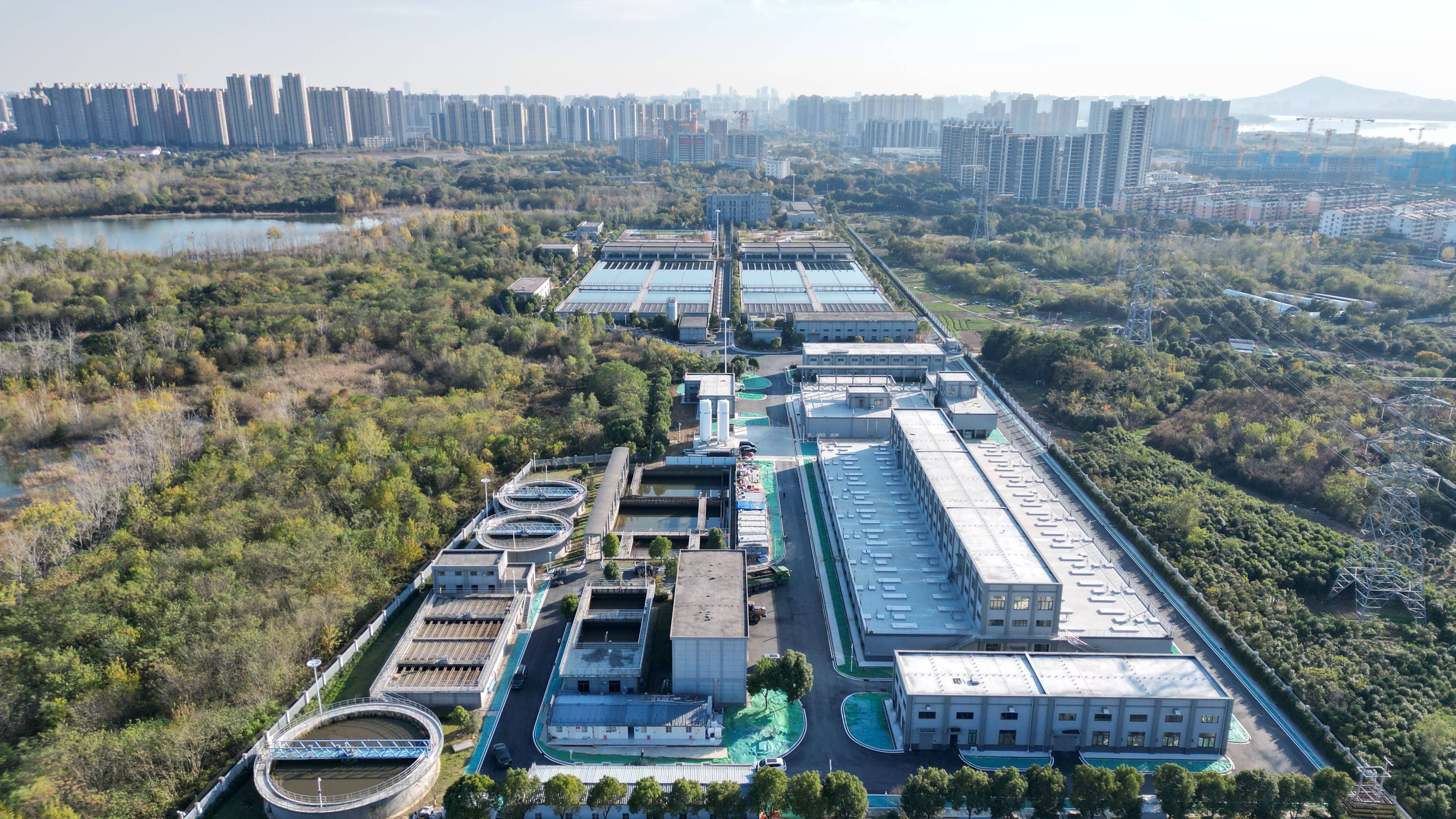 东营市合肥专业企业价值增长(合肥市重点企业产业目录)