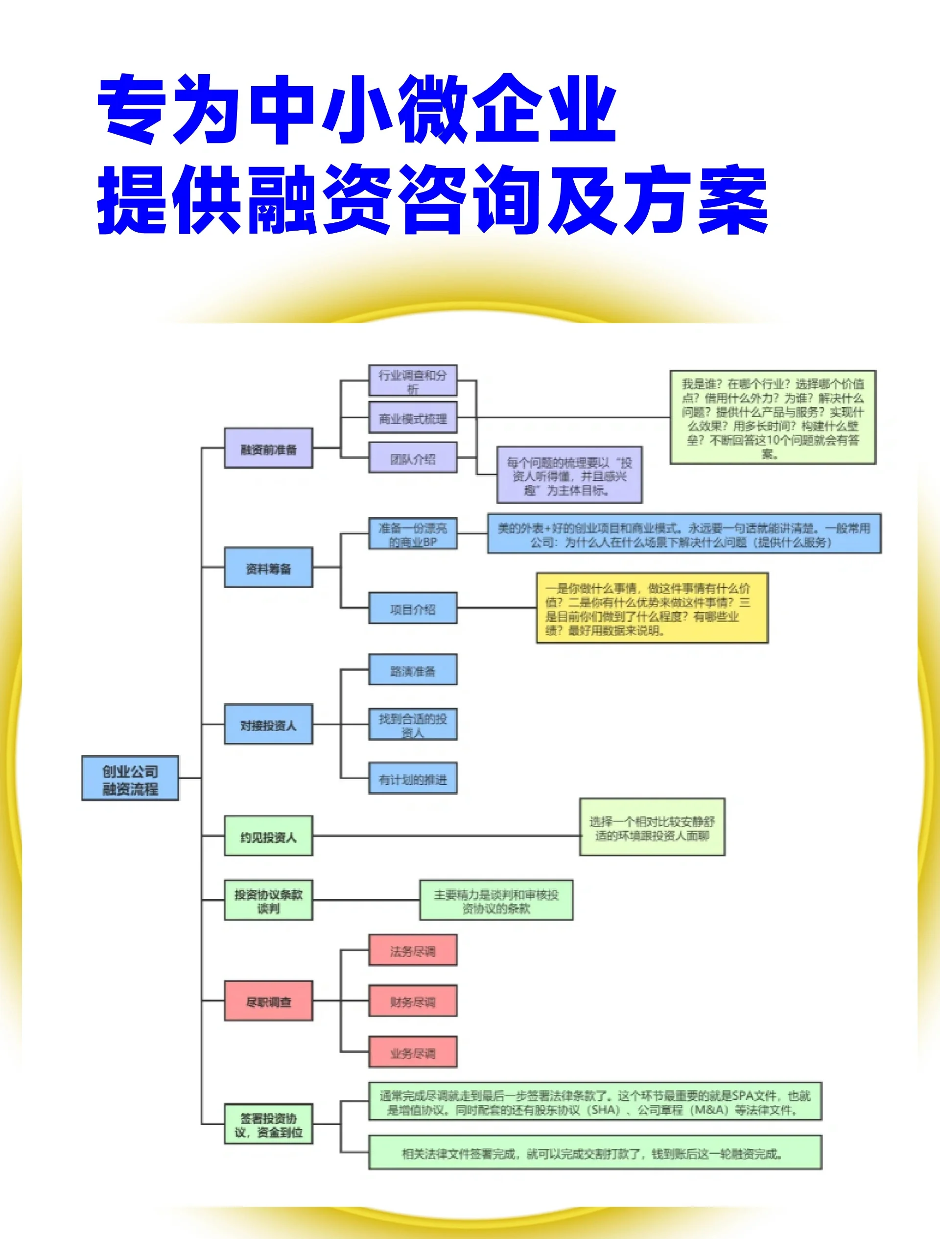 东营市宠物企业资金管理(宠物管理机构叫什么)