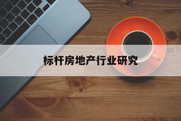东营市标杆房地产行业研究(房地产领域的标杆人物)