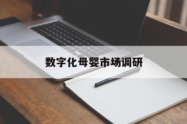 东营市数字化母婴市场调研(数字化母婴市场调研报告)